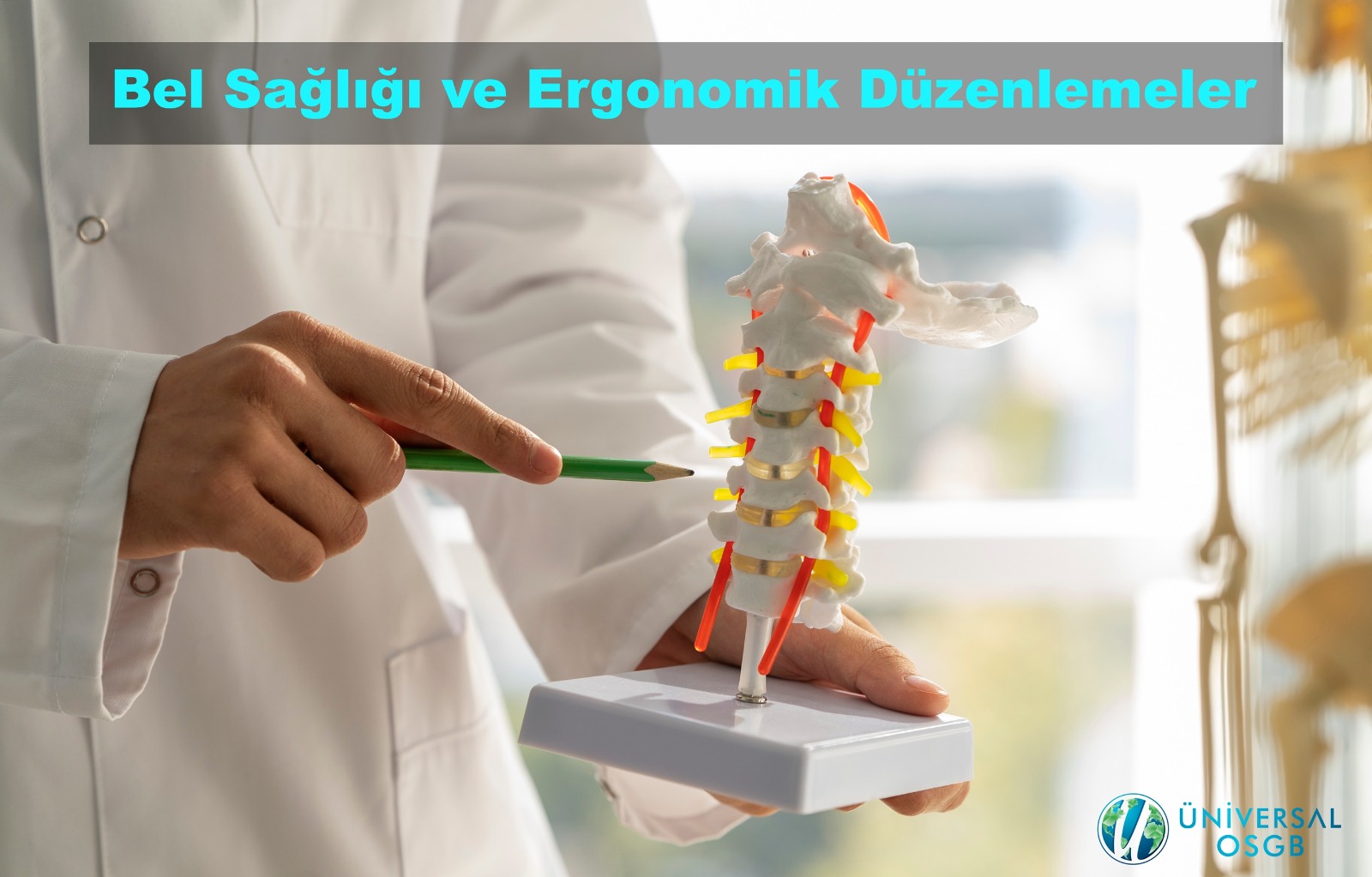 Back Health and Ergonomic Adjustments